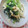 ゆっかka's cooksnap of when they made 小松菜と油揚げの卵とじ.