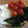 枇杷ゼリー's cooksnap of when they made ミニトマトと大根の甘酢漬け.