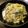 チカッティ's cooksnap of when they made きゃべつとひき肉の煮物.
