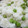 かぴーな's cooksnap of when they made 簡単 豆ごはん。.