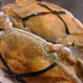 mzhroom's cooksnap of when they made 渡り蟹がやってきたっ！.