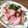 かめ凜's cooksnap of when they made かまぼこ明太炒め.
