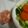 ぜるぞう's cooksnap of when they made 型抜きにんじん★ついでに離乳食5ヶ月.