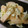 えいとさん's cooksnap of when they made 柿と白菜の芯の　マヨネーズ和え.