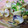 katana1100's cooksnap of when they made あさりの酒蒸し★にんにくしょうゆ風味.