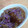 ジジさん's cooksnap of when they made なめこと菊のとろとろ煮.
