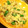 めーぷるしゅう's cooksnap of when they made ピーマンと豚肉の卵炒め.