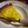 金会04みき's cooksnap of when they made さつまいものタルト★いっぺんに焼く.