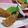 まじゅじゅ's cooksnap of when they made 栄養満点！ししゃもの胡麻衣フライ.