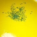愛咲ヒカル's cooksnap of when they made かぼちゃのスープ.
