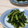 ピンクのたまご's cooksnap of when they made かぶの葉の胡麻和え風.