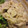 deco27's cooksnap of when they made 袋で揉むだけ　白菜の白和え.