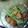 namy7mori's cooksnap of when they made 蒸し焼き人参と水菜の胡麻和え.