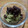 Miqueミケ's cooksnap of when they made 簡単コク旨♪濃厚抹茶アイス.