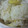 ｙｕｔｅｙｕｔｅ's cooksnap of when they made ほっくほく(●´艸｀)ウチの栗ごはん♪.