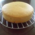 まゆたけ's cooksnap of when they made スポンジケーキ（共立て）.