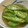 patisier's cooksnap of when they made オクラの煮浸し☆柚子胡椒風味.