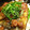 marilin36's cooksnap of when they made 旬のさんまを使った男の梅蒲焼きのっけ丼.