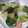 のんのんSTELLA's cooksnap of when they made 青梗菜と豚肉の中華風炒め.