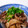 Licosama's cooksnap of when they made イカのワタ焼き.