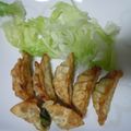 ももうふ's cooksnap of when they made 【農家のレシピ】カレーチーズ揚げ餃子.