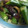 ひぃちゃん0811's cooksnap of when they made オクラと椎茸のバター醤油みりん酒炒め.