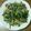 すーちゃんまま's cooksnap of when they made 砂ずりとほうれん草の炒めもの.