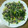 すーちゃんまま's cooksnap of when they made 砂ずりとほうれん草の炒めもの.