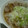 やまうさ's cooksnap of when they made 豚のトローリみぞれ和え.