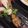 deco27's cooksnap of when they made ご飯モリモリ♪♪✿ブリの❀味噌ソテー✿.