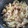 sango's cooksnap of when they made 【作り置きにも◎】簡単！豚丼.