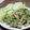 シューマー's cooksnap of when they made ２度おいしい！！チンジャオロース.