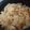 ton1210's cooksnap of when they made ベーコンとトマトの炊き込みご飯.