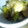 ☆★☆ｍａｉ☆★☆'s cooksnap of when they made 簡単　鶏ムネ肉とネギの粒マスタード.