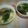 cotonet's cooksnap of when they made 超簡単...7分...丼で作る..味噌汁.