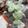 シュンの嫁's cooksnap of when they made 野菜たっぷり白もつ煮込み♪.