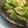 napico's cooksnap of when they made さっぱりシンプル！レタス炒め.