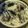 ★見習い魔女の食卓★'s cooksnap of when they made 秋刀魚の土鍋炊き込みご飯.