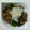 yarmam's cooksnap of when they made ﾎｳﾚﾝ草とﾅﾒｺのおろし和え.