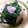soratea's cooksnap of when they made ☆春菊の味噌マヨ炒め☆.