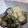 わっC's cooksnap of when they made ナスとしし唐辛子のクタクタ甘酢煮.
