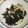トムラウシ's cooksnap of when they made エノキとワカメの辛子入酢の物.