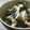 よこよこーん's cooksnap of when they made 鶏肉の照り焼き丼.