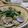 ノンノンcook's cooksnap of when they made あさりのスープパスタ。バター醤油で！.