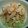 ゆられん's cooksnap of when they made ウマ！白菜わさびマヨ.