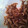 にこちゃん111's cooksnap of when they made しょうがの佃煮.