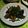 ジャネットのママ's cooksnap of when they made ナス南蛮.