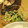 kikikko's cooksnap of when they made ☆もやしとほうれん草の簡単ナムル☆.