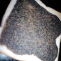 mizukane's cooksnap of when they made きなごまーがりん.