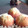 くるみかぼちゃ's cooksnap of when they made しっとりマドレーヌ.